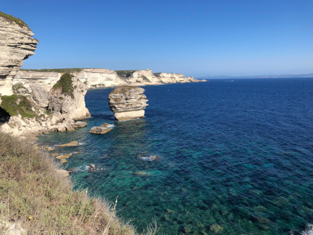 Bonifacio