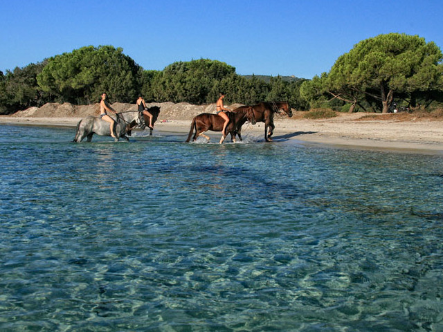 Le cheval